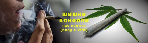 крисы Осинники