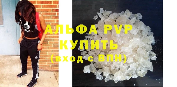 крисы Осинники