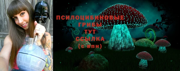 крисы Осинники